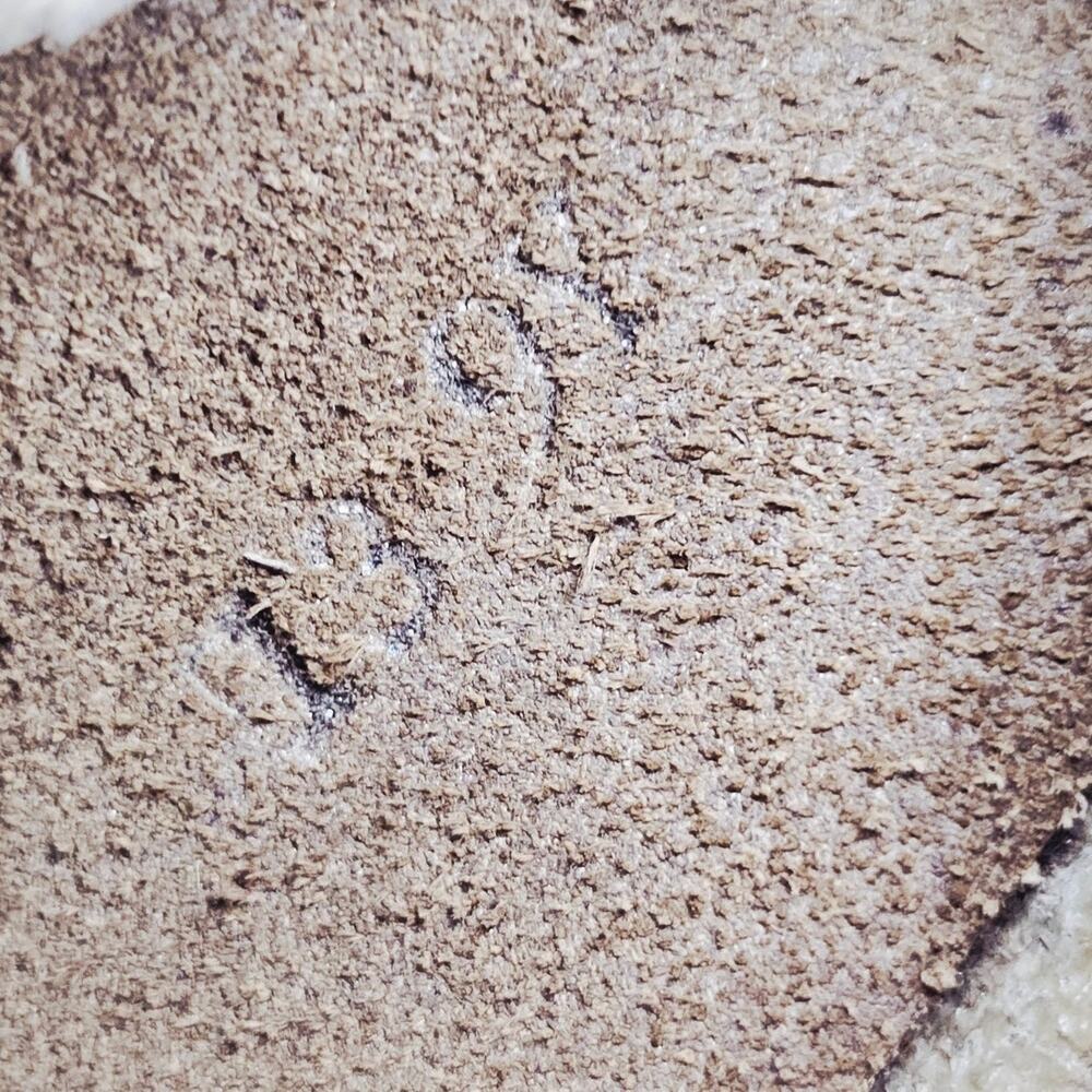 Birkenstock Arizona Soft Footbed Slide Suede Leather Sandal Taupe Women's 9 - Picture 7 of 9